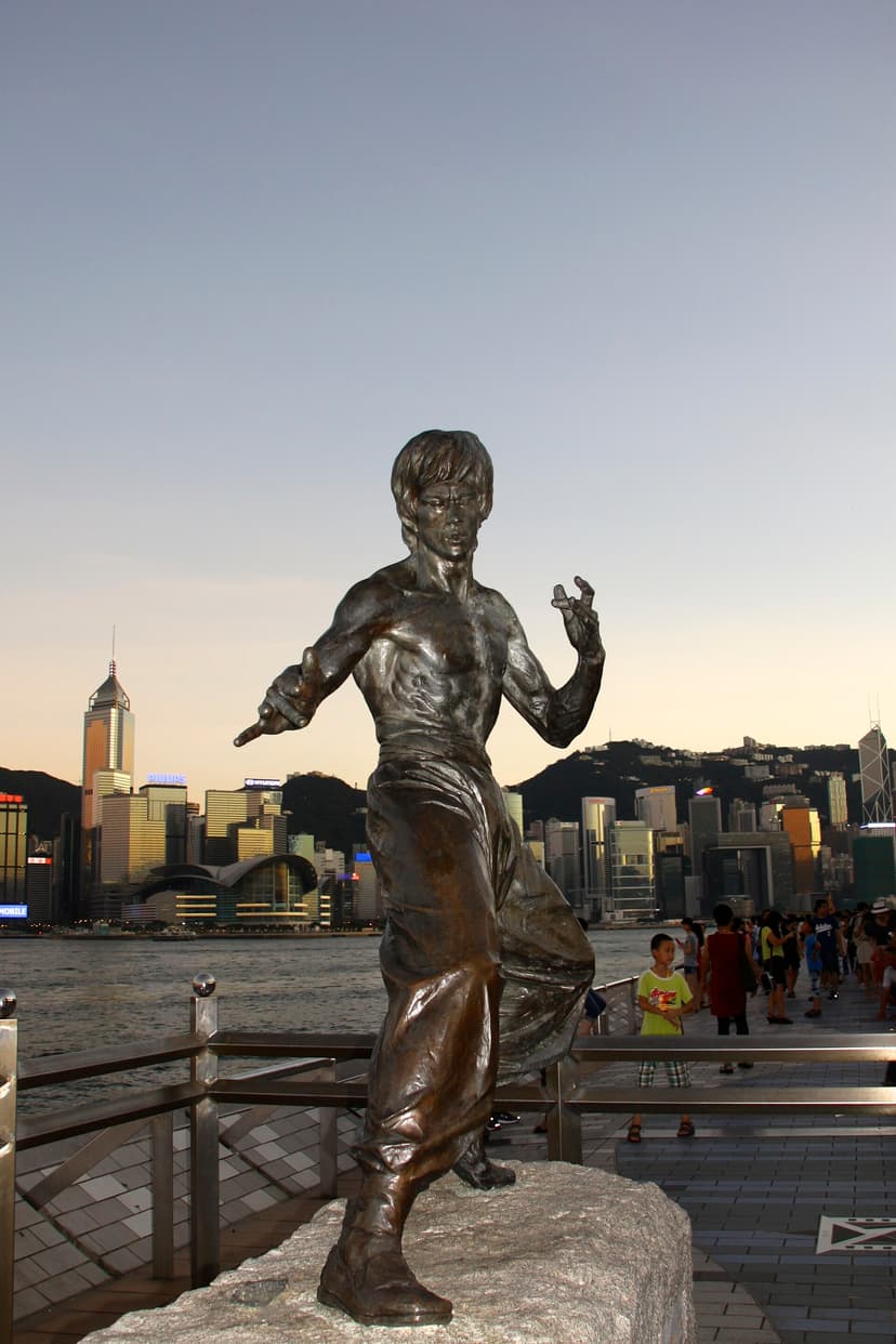 Bruce Lee