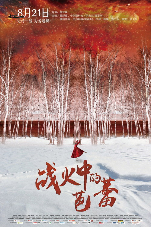Ballet in the Flames of War (2015) poster