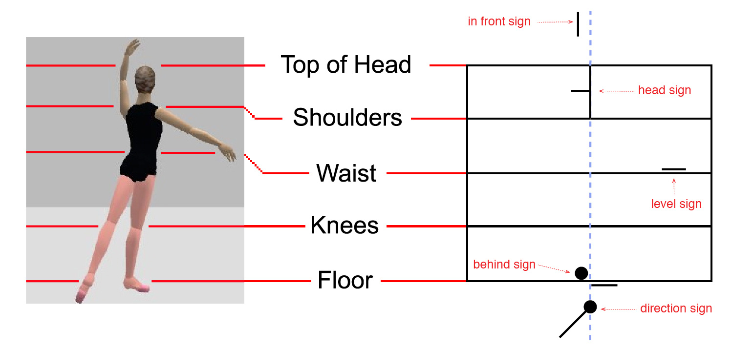 Body-matrix diagram explaining positions in Benesh Movement Notation
