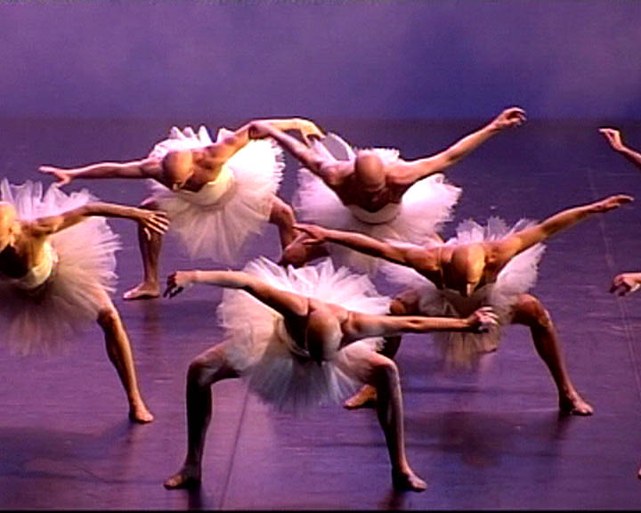 Performance still associated with Mats Ek's Swan Lake